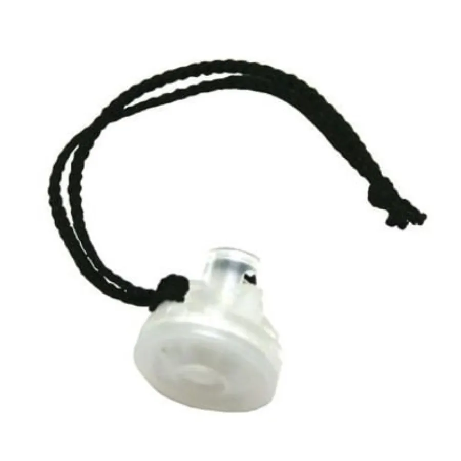 BW M5-AF-K2-100 Hilfspumpen-Filter für GasAlertMax XT II
