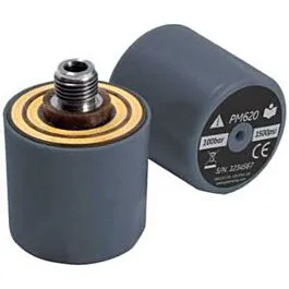 Druck PM620-165G Druckmodul