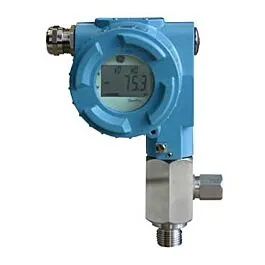 Panametrics MMY30-R1A1G Spurentaupunkt-Sender