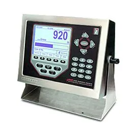 Rice Lake Weighing Systems 69770 Panel-Display